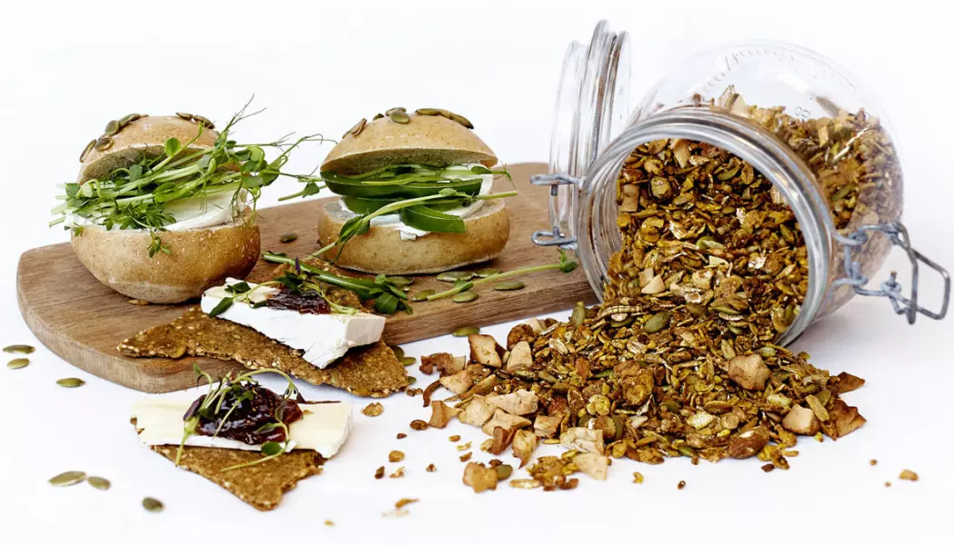 Bilde av granola med melorm, hentet fra forskernes brosjyre Insekter som kulinarisk delikatesse.