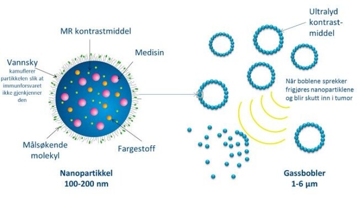 Slik fraktar forskarane cellegift inn i kroppen via nanopartiklar som sit på gassbobler. (Foto: Illustrasjon: Ýrr Mørch, Sintef) Slik fraktar forskarane cellegift inn i kroppen via nanopartiklar som sit på gassbobler. (Foto: Illustrasjon: Ýrr Mørch, Sintef)