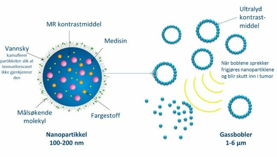 Slik fraktar forskarane cellegift inn i kroppen via nanopartiklar som sit på gassbobler. (Foto: Illustrasjon: Ýrr Mørch, Sintef)