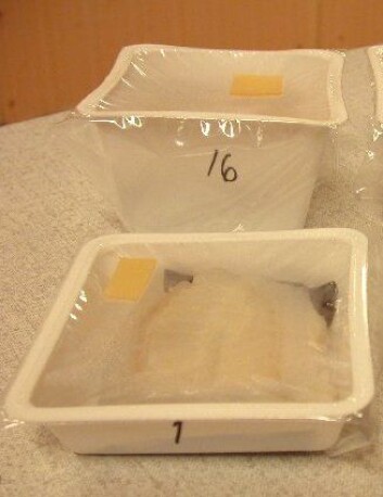 Pakken i forgrunnen er med CO2-emitter. Pakken bak er uten. De inneholder samme mengde fisk. Pakken i forgrunnen er med CO2-emitter. Pakken bak er uten. De inneholder samme mengde fisk.