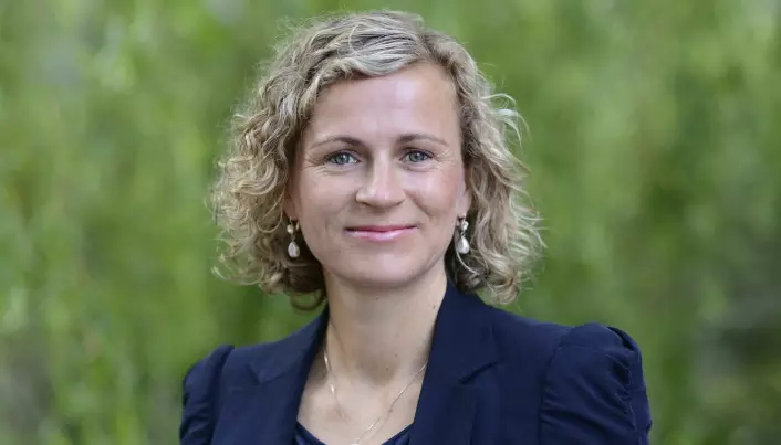 Organisasjonsforsker og professor Christina Nerstad ved Handelshøyskolen på OsloMet gir råd for hjemmekontoret.