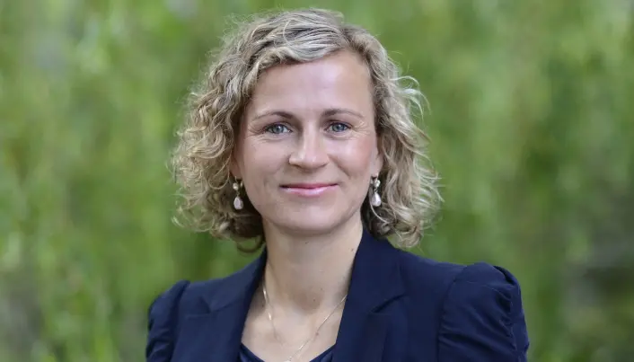 Organisasjonsforsker og professor Christina Nerstad ved Handelshøyskolen på OsloMet gir råd for hjemmekontoret. Organisasjonsforsker og professor Christina Nerstad ved Handelshøyskolen på OsloMet gir råd for hjemmekontoret.