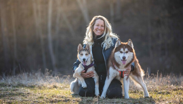 Hundeinstruktør Tess Erngren bekrefter at en del eiere opplever at hunden blir vanskeligere å trene når den kommer i puberteten. Hundeinstruktør Tess Erngren bekrefter at en del eiere opplever at hunden blir vanskeligere å trene når den kommer i puberteten.