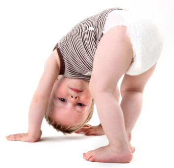 (Foto: iStockphoto) (Foto: iStockphoto)