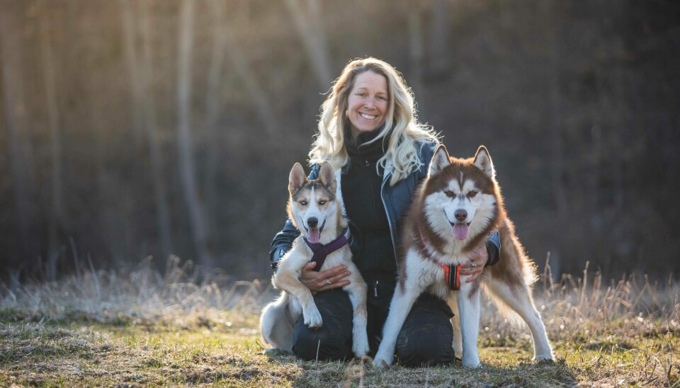 Hundeinstruktør Tess Erngren forteller at en del eiere synes at hunden blir vanskeligere å trene når den kommer i puberteten.