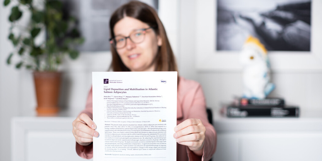 Marta Bou Mira i avdeling Ernæring og fôrteknologi i Nofima, har skrevet artikkelen sammen med Tone-Kari Østbye, Bente Ruyter og tre tidligere kollegaer. Marta Bou Mira i avdeling Ernæring og fôrteknologi i Nofima, har skrevet artikkelen sammen med Tone-Kari Østbye, Bente Ruyter og tre tidligere kollegaer.