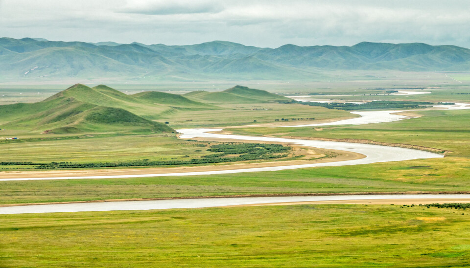 En kinesisk-norsk studie av pollen gjennom 1,7 millioner år, viser hvor overraskende lite artene med planter og trær har endret seg her øst på Tibetplatået. Forskerne ser også hvordan svingninger i naturen stadig gjentas.