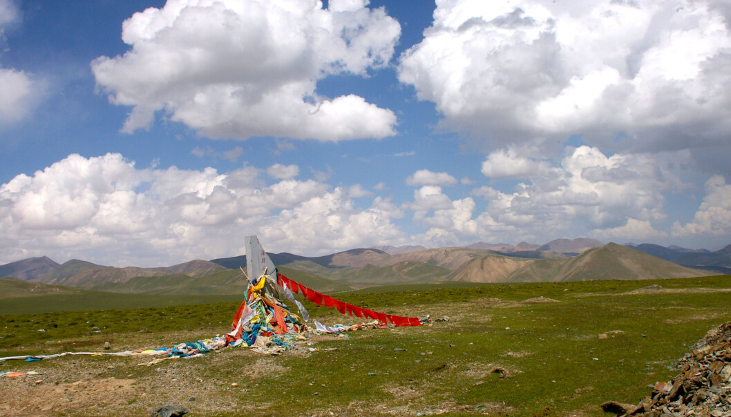 I dag er landskapet øst på Tibetplatået dekket av gress og kratt. Under istidene har landskapet her vært mer eller mindre skogkledt. I dag er landskapet øst på Tibetplatået dekket av gress og kratt. Under istidene har landskapet her vært mer eller mindre skogkledt.