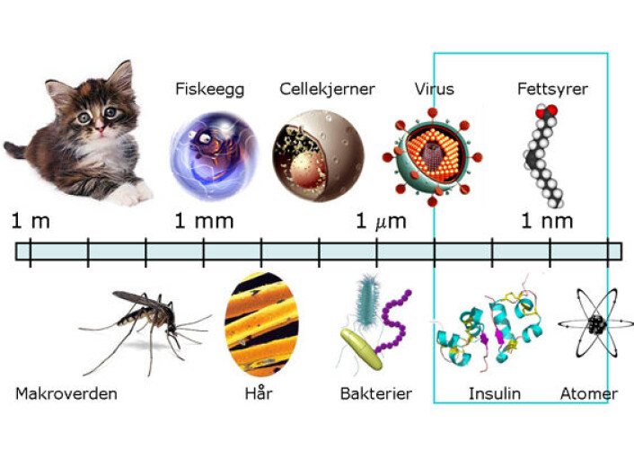 "Fire til seks atomer på rad tilsvarer en nanometer - én milliarddels meter. Et virus er 100 nanometer stort." "Fire til seks atomer på rad tilsvarer en nanometer - én milliarddels meter. Et virus er 100 nanometer stort."