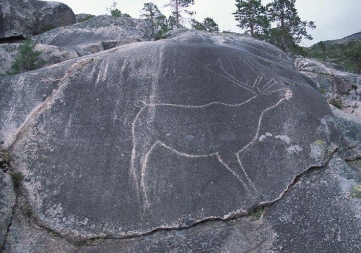 Den naturtro figuren av et reinsdyr ved Jo sarsaklubben viser typisk animistiske trekk. (foto: Jan Magne Gjerde) Den naturtro figuren av et reinsdyr ved Jo sarsaklubben viser typisk animistiske trekk. (foto: Jan Magne Gjerde)