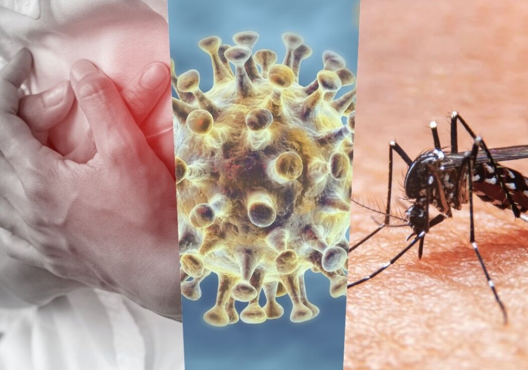 Hjertelidelser, covid-19 og malaria. Hvor mange dør av hva? Hjertelidelser, covid-19 og malaria. Hvor mange dør av hva?