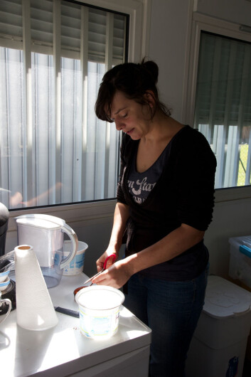 Valérie Dufour kutter opp biter av crabsticks og hundemat til kråkene. (Foto: Ingrid Spilde) Valérie Dufour kutter opp biter av crabsticks og hundemat til kråkene. (Foto: Ingrid Spilde)