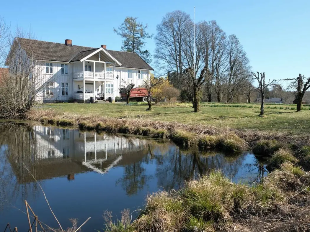 Gardsdammen på Støkken Østre har truleg vore vasskjelde sidan 1300-talet. I dag er han viktig for biologisk mangfald – og som smykke på tunet. Gardsdammen på Støkken Østre har truleg vore vasskjelde sidan 1300-talet. I dag er han viktig for biologisk mangfald – og som smykke på tunet.
