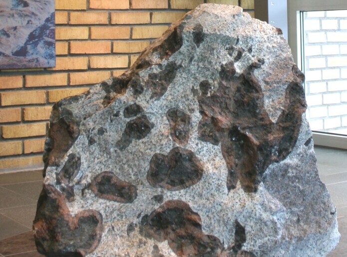 Koronitt – et prakteksemplar av korona-stein fra Bergensområdet. Koronitten har en grunnmasse av hvit feltspat, og hvor korona av rød granat er tydelig rundt de mørke mineralene olivin og pyroksen. Denne steinblokken står utstilt i inngangspartiet til Norges geologiske undersøkelse. (Foto: NGU) Koronitt – et prakteksemplar av korona-stein fra Bergensområdet. Koronitten har en grunnmasse av hvit feltspat, og hvor korona av rød granat er tydelig rundt de mørke mineralene olivin og pyroksen. Denne steinblokken står utstilt i inngangspartiet til Norges geologiske undersøkelse. (Foto: NGU)