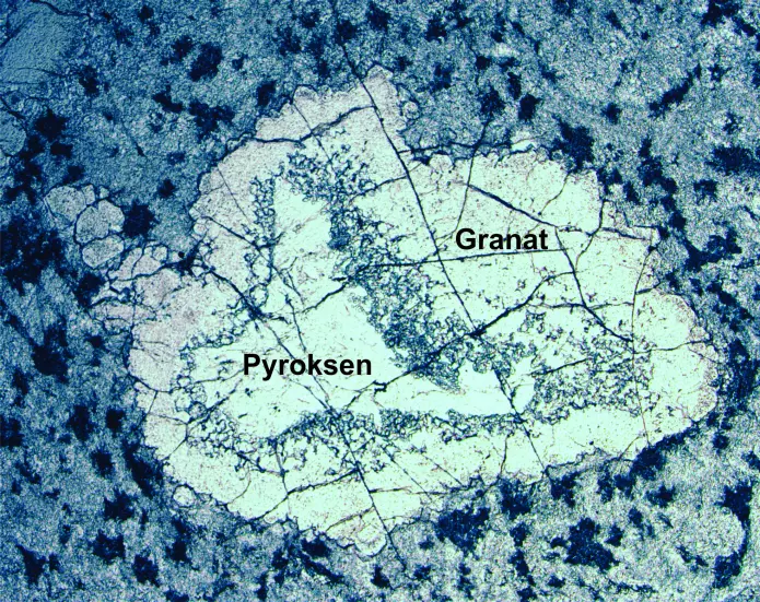 I mikroskopet kan vi studere steinen i detalj: Her ser vi en tykk korona av granat som omslutter lys pyroksen. (Foto: Ane K. Engvik)