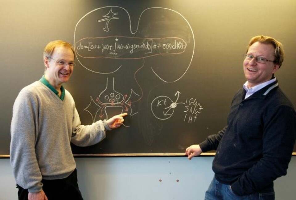Medisinprofessor Niels Christian Danbolt har bedt matematikkprofessor Kenneth H. Karlsen om hjelp til å modellere signalkaoset i hjernen. (Foto: Yngve Vogt)