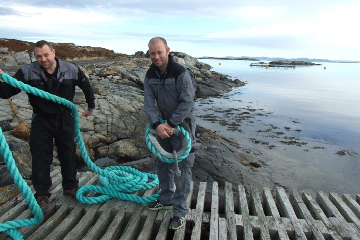 Sentrale aktører i merdprosjektet på Smøla. Svein Martinsen (til høyre) leder forskningsbedriften Nekton, mens Rune Iversen er daglig leder i Nekton Havbruk, matfiskselskapet som får ansvaret for produksjonen i den lukkede merden. (Foto: Karl Ove Eines) Sentrale aktører i merdprosjektet på Smøla. Svein Martinsen (til høyre) leder forskningsbedriften Nekton, mens Rune Iversen er daglig leder i Nekton Havbruk, matfiskselskapet som får ansvaret for produksjonen i den lukkede merden. (Foto: Karl Ove Eines)