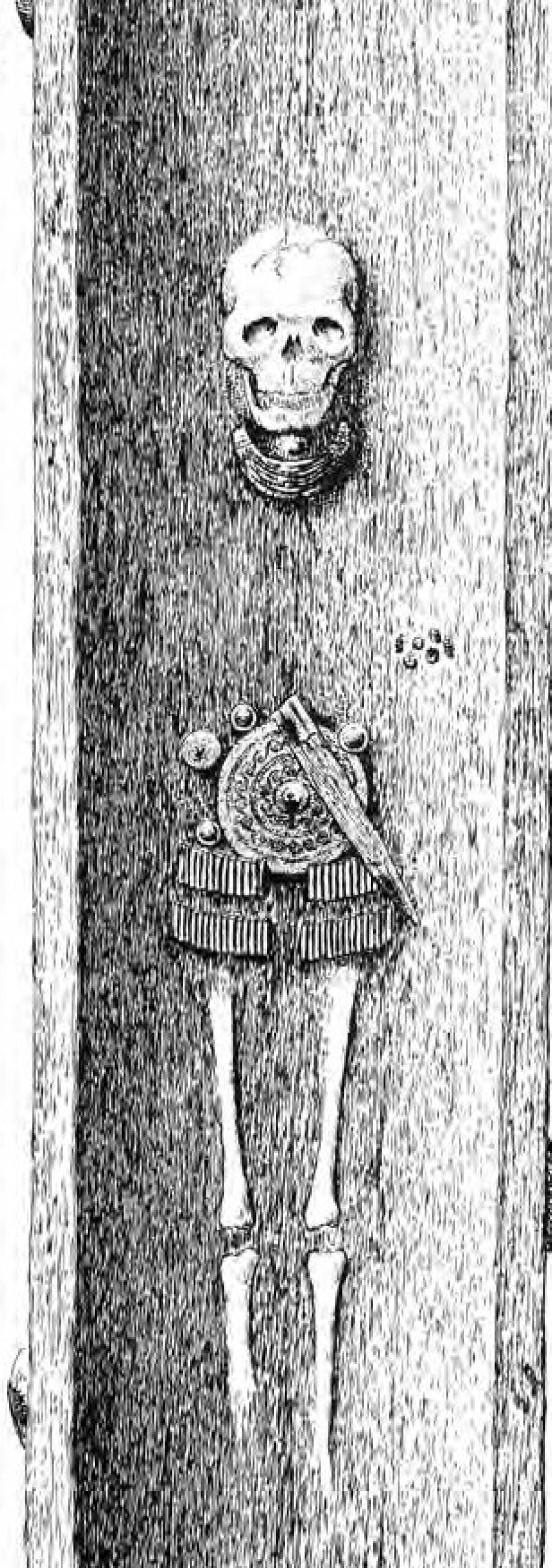 Figur 7: Eikekistegrav fra Ølby, Sjælland, datert til 1500–1300 f. Kr. På grunn av de lokale bevaringsforholdene er bare skjelettet og smykkene bevart. Plasseringen av bronsesmykkene på den forgagne drakten er likevel tydelig. Kvinnen fra Ølby har i tillegg til halskrave, beltesmykker og dolk også hatt et armbånd med perler av baltisk rav og blått glass fra Egypt.