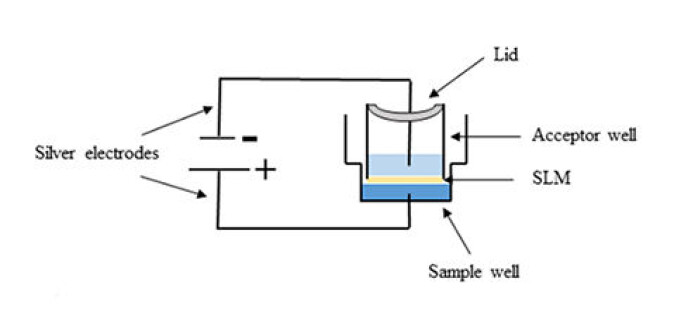 Skisse av elektromembranekstraksjon. Når det går straum gjennom elektrodane, vert stoffet som skal analyserast trekt opp gjennom membranen. Skisse av elektromembranekstraksjon. Når det går straum gjennom elektrodane, vert stoffet som skal analyserast trekt opp gjennom membranen.
