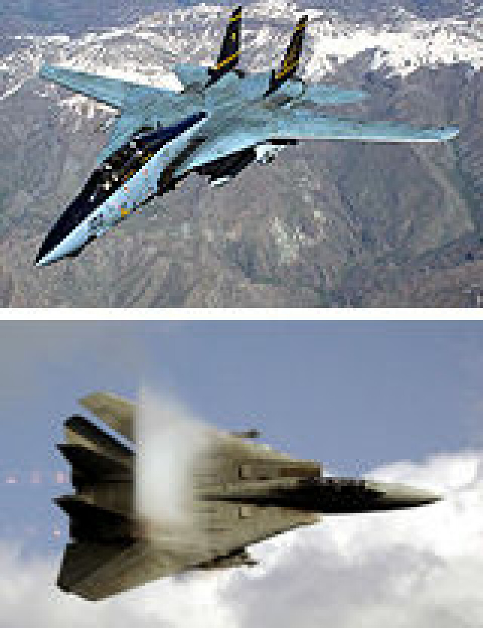 'F-14 med utfoldede vinger øverst og bakoversvingte nederst.'