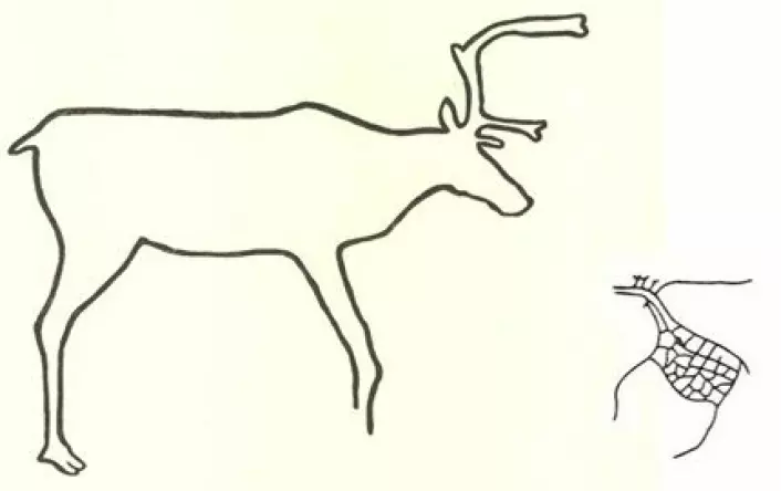 Dette illustrasjonsbildet viser hvordan bergkunsten utviklet seg over tid. Dyret til venstre er typisk animistisk, mens dyret til høyre er totemistisk. (Foto: (illustrasjonsbilde: Ingrid Fuglestvedt))