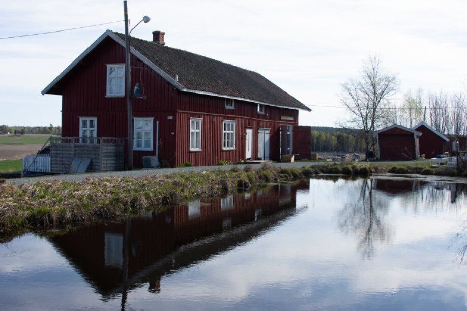 Gardsdammar i jordbrukslandskapet er viktige leveområde for salamandrar i Noreg.