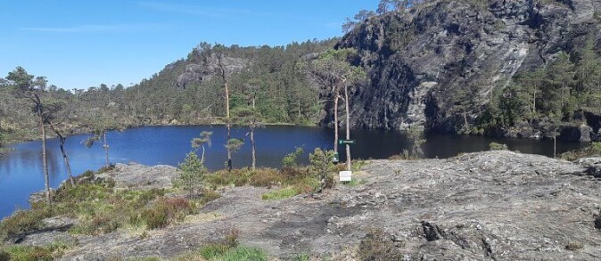 Svartavatnet i Geitaknottane naturreservat i Hordaland. Her finn vi dei vestlegaste og største samanhengande områda med førekomstar av storsalamander i Noreg. Svartavatnet i Geitaknottane naturreservat i Hordaland. Her finn vi dei vestlegaste og største samanhengande områda med førekomstar av storsalamander i Noreg.