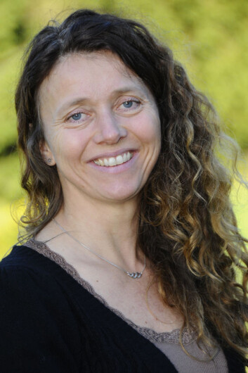 Forsker Ingeborg Klingen i Bioforsk. (Foto: Neil Davey) Forsker Ingeborg Klingen i Bioforsk. (Foto: Neil Davey)