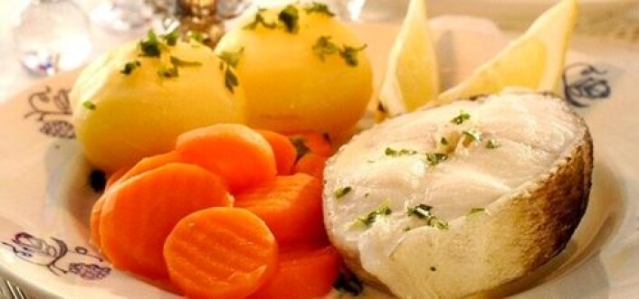 En hvit fin middagstorsk på tallerkenen er noe mange liker. Med færre som jobber i fisket, må prosessene om bord på båtene automatiseres, om vi skal kunne opprettholde kvaliteten på fisken vi får servert. (Foto: Tine) En hvit fin middagstorsk på tallerkenen er noe mange liker. Med færre som jobber i fisket, må prosessene om bord på båtene automatiseres, om vi skal kunne opprettholde kvaliteten på fisken vi får servert. (Foto: Tine)