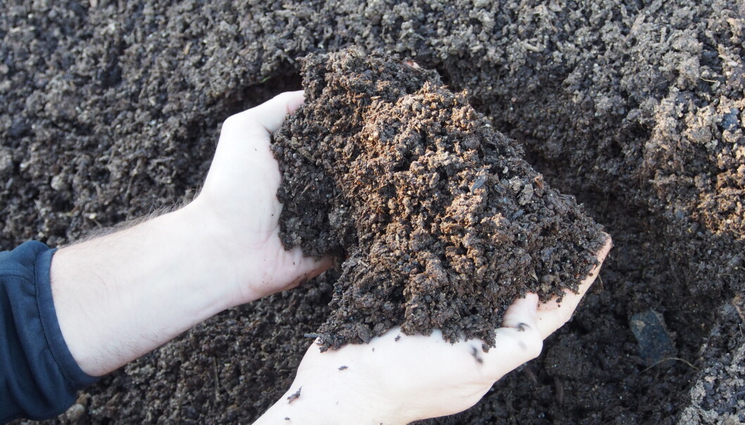 Kompost er organisk materiale, fra planter eller dyremøkk, som er brutt ned av mikroorganismer. Disse prosessene gjør næringen i komposten tilgjengelig for nye planter. Kompost er organisk materiale, fra planter eller dyremøkk, som er brutt ned av mikroorganismer. Disse prosessene gjør næringen i komposten tilgjengelig for nye planter.