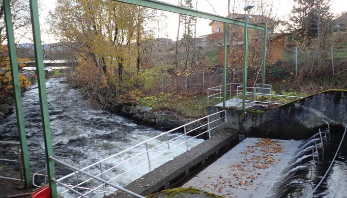 Fiskefella i Imsa er del av Norsk institutt for naturforskning sin forskningsstasjon.
Den fangar all opp- og nedvandrande fisk. Fiskefella i Imsa er del av Norsk institutt for naturforskning sin forskningsstasjon.
Den fangar all opp- og nedvandrande fisk.