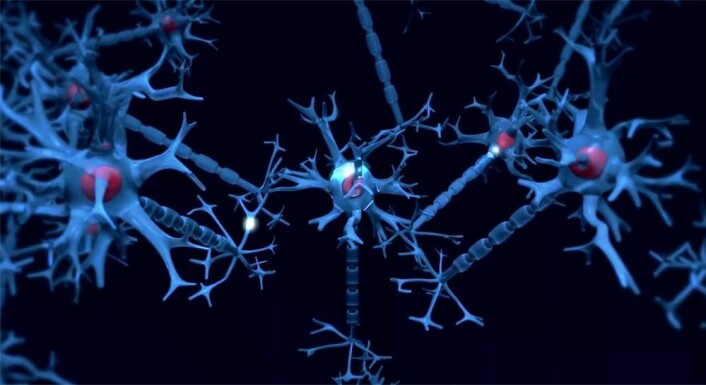 Nerveceller sender signaler til hverandre gjennom synapsene. Det vet vi en hel del mer om nå enn for ti år siden. (Foto: (Illustrasjon: Per Byhring))