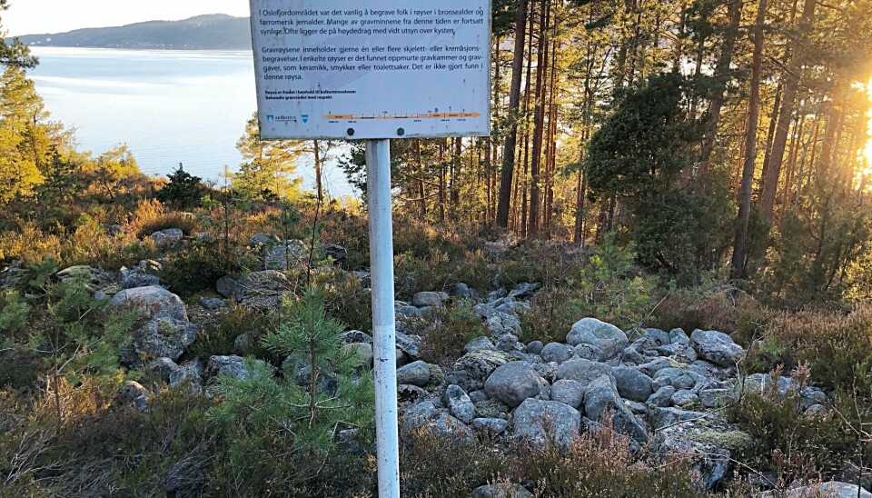 Har du lagt merke til de mange røysene fra bronsealderen? Her en gravrøys ved Oslofjorden like sør for Drøbak. Sånne røyser finner du langs mye av norskekysten. En spesiell ting har de felles: De kan sees fra havet. Men hvorfor var det så viktig at folk som kom i skip innover Oslofjorden for 3000 år siden, så en røys som denne?