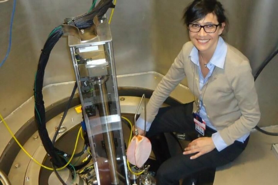 Sabrina Sartori during experiments to study hydrogen storage materials at the Spallation Neutron Souce, Oak Ridge Laboratory.