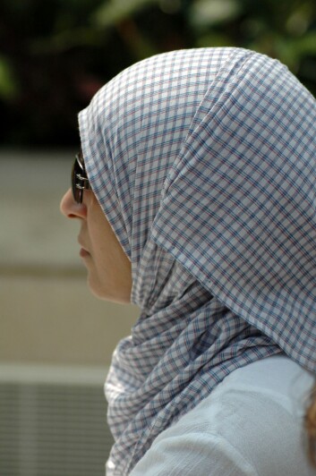 Kriminalitet rettet mot muslimer, jøder eller andre religiøse grupper utgjør 15 prosent av de svenske anmeldelsene. Kriminalitet rettet mot muslimer, jøder eller andre religiøse grupper utgjør 15 prosent av de svenske anmeldelsene.