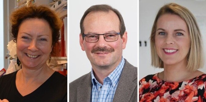 Digitale møter har kommet for å bli, men neppe like mye som under koronakrisen, tror Tone Bratteteig (t.v.), Knut Fostervold og Viktoria Stray. Digitale møter har kommet for å bli, men neppe like mye som under koronakrisen, tror Tone Bratteteig (t.v.), Knut Fostervold og Viktoria Stray.