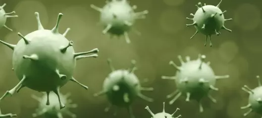 Hvor mange koronavirus trengs for å gjøre deg syk?