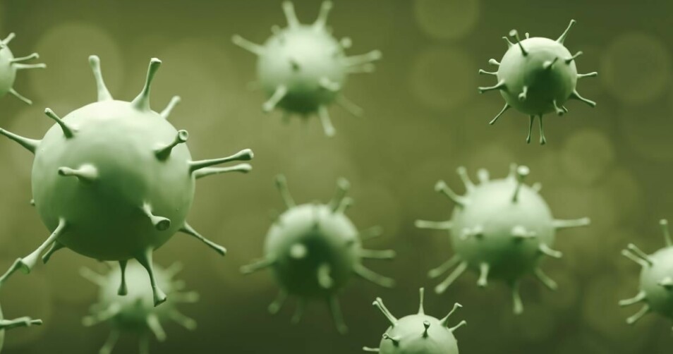 Holder det med ett av disse koronavirusene for å utløse sykdom? Eller tusen? Eller flere millioner?