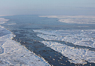 The Ever Moving Sea Ice