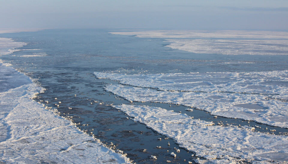 The ice of the Barents sea, Arctic ocean.