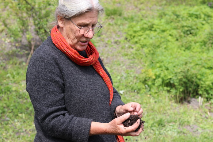 Linda Jolly bruker kumøkk i komposten. Men det er ikke så lett å få tak i. Av møkk er det kumøkk som er den beste, synes hun. - Kyr har fire mager fylt med milliarder av mikroorganismer. De mikroorganismene er også viktig for jorden, sier hun. Det går helt fint å kompostere uten husdyrmøkk også. Linda Jolly bruker kumøkk i komposten. Men det er ikke så lett å få tak i. Av møkk er det kumøkk som er den beste, synes hun. - Kyr har fire mager fylt med milliarder av mikroorganismer. De mikroorganismene er også viktig for jorden, sier hun. Det går helt fint å kompostere uten husdyrmøkk også.