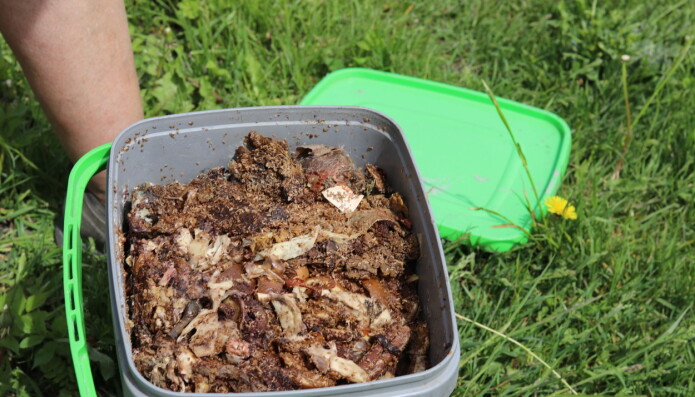Bokashi passer også for dem som ikke har så mye plass. Saften skal tappes ut jevnig fra en kran nederst i bøtta. Denne kan brukes som plantenæring til for eksempel inneplanter. Linda Jolly blander ut saften med en del og hundre deler vann. Det er fordi den er sterk og sur. Bokashi passer også for dem som ikke har så mye plass. Saften skal tappes ut jevnig fra en kran nederst i bøtta. Denne kan brukes som plantenæring til for eksempel inneplanter. Linda Jolly blander ut saften med en del og hundre deler vann. Det er fordi den er sterk og sur.