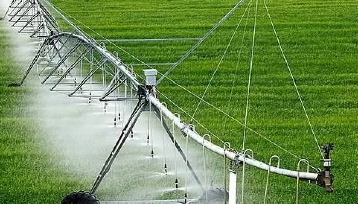 Faulty estimates downplay the potential environmental impact of irrigated agriculture, according to researchers