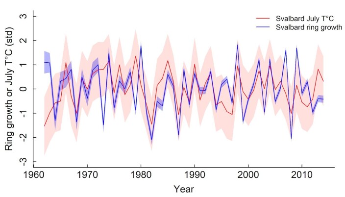 The graphic shows how polar willow growth, as measured by growth rings, tightly tracks July temperatures. The graphic shows how polar willow growth, as measured by growth rings, tightly tracks July temperatures.