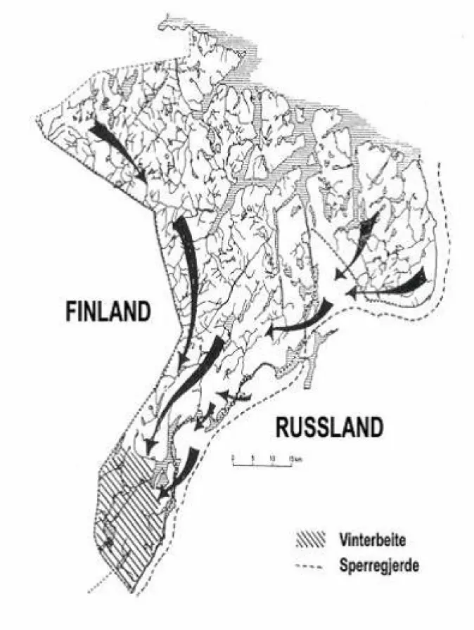 Elgens trekkmønster i Sør-Varanger sent på høsten. Kartet er basert på sporobservasjoner.
