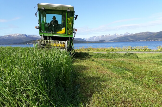 Høsting av timoteifelt ved NIBIO Holt i Tromsø. Høsting av timoteifelt ved NIBIO Holt i Tromsø.