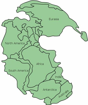 Superkontinentet Pangea (Bilde: Kliff/Wikimedia Creative Commons)