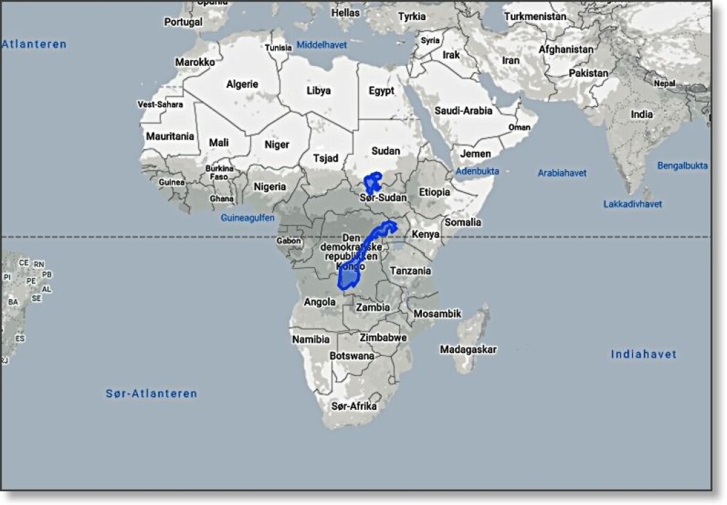 Norge er bare litt over 1 prosent av størrelsen på Afrika. Norge er bare litt over 1 prosent av størrelsen på Afrika.