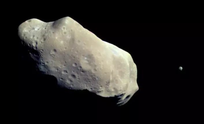 Asteroiden 243 Ida med månen Dactyl fotografert av romsonden Galileo 28. august, 1993. (Foto: NASA)
