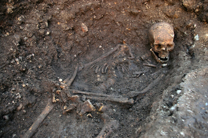 Levningen etter kong Richard III av England. Kongen ble begravd i Leichester i august 1485. (Foto: University of Leicester) Levningen etter kong Richard III av England. Kongen ble begravd i Leichester i august 1485. (Foto: University of Leicester)